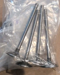 NOS GM 12584760 Exhaust Valve Genuine GM Part Brand New QTY 4 (rc) - Picture 1 of 1