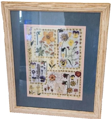 Pensamientos Prensados Flores Secas Mate Boho Granja Verano Colorido Naturaleza 16x20 Foto 1 de 4