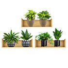 3 Sheets Aesthetic Wall Decals Green Plant Potted Sticker Protector Wallpaper