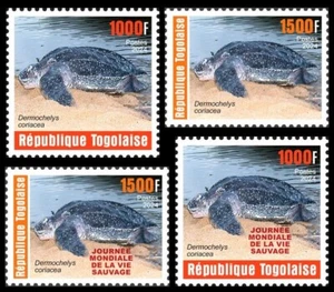 TOGO 2024 SET 4V - REG & OVPT - REPTILES - TURTLE TURTLES - MNH - Picture 1 of 1