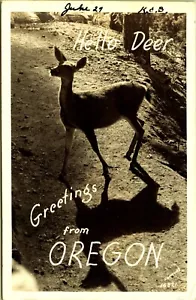RPPC Hello Deer Greetings from Oregon Real Photo Postcard 1957 - Picture 1 of 2