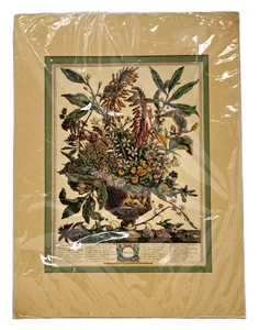 Lithographie Kunstdruck JANUAR Blumen Robert Furbur Floral Botanical Wanddeko - Bild 1 von 10
