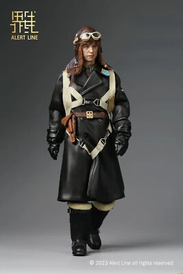 Alert Line AL100041 WWII советских ВВС Ace пилот Покрышкин 1/6 фигурка - Изображение 1 из 4