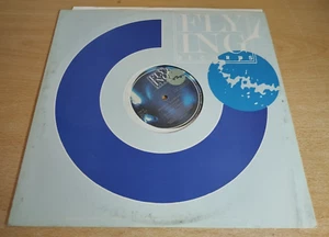 Anima Ladina – Anima Ladina Italy 1991 Vinyl 12" - Imagen 1 de 3