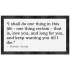 Quote By Thomas Hardy Pet Feeding Mat (PM00001218)