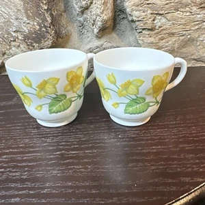 Wedgwood Bone China King Cup Tea Cup Pattern Daffodil Set Of 2 - Picture 1 of 11