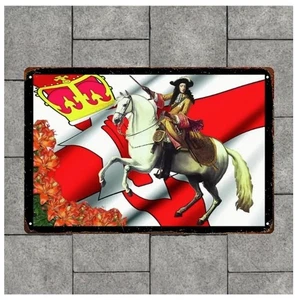 Insegna Rangers Lealista Re Guglielmo d'Arancione Metallo 20 x 30 cm Gratis Regno Unito P/P - Foto 1 di 3