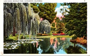 Lake Scene McKinley Park Weeping Willows Sacramento California 1910s Postcard - Picture 1 of 2