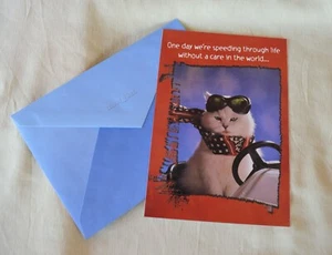 1 Leanin' Tree Birthday Card w Env Cat Driving Car Comical Old Age White Hair - Picture 1 of 4