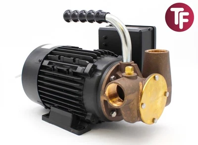 Jabsco 53041-2001-230 1" BSP Utility 40 Self-Priming Flexible Impeller Pump 230V - Image 1 of 4