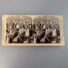 Stereo-Foto bzw. Raumbild Auf dem Markt Hamburg 1894 (55060)