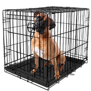 dog crate tray sizes