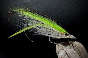Mosca a rayas de ala plana - 1/0 - gráfico/blanco - bajo a rayas - pesca con mosca de agua salada - Imagen 1 de 1
