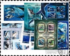 Balene Fogli in Miniatura : 10 diversi Collezione