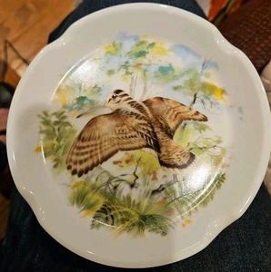  "Plato y plato concha Vista Alegre Chelsea Birds 5,25""" - Imagen 1 de 4