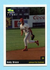 1991 Minor League Andy Bruce - Johnson City Cardinals - Box 209