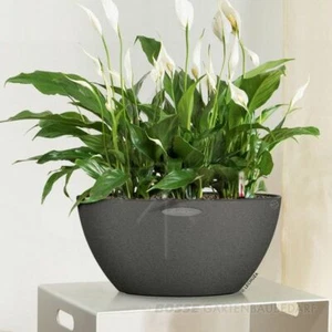 Blumenschale, Pflanzschale, Pflanzgefäß - Bild 1 von 2