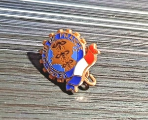 Vespa Brosche Club de France emailliert - Maße 13x15mm - Bild 1 von 2