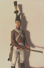 m First Legion 54mm - NAP504 - Austrian Artillery Gunner with Igniter (1809)