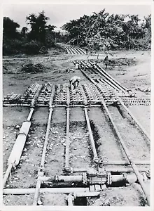 INDIA - CHINA c. 1960 - Calcutta Pipeline - Yunnan - Div 10578 - Picture 1 of 2