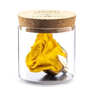 Amoroses Bijou - Eternal Stabilised Rose with 24K Gold Plated Calyx in Glass Jar - Picture 1 of 5
