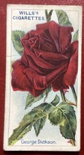(A59) WILLS’s “ROSES” 2nd SERIES Card No. 64 George Dickson