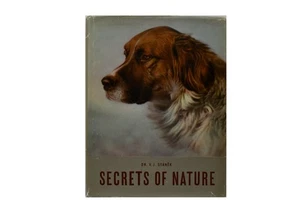 Secrets of Nature – The Animal World Around Us - Picture 1 of 12