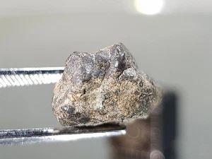 NWA 16520, Lunar (frag. Brekzie) 1,59g Meteorit vom Mond, Oberfläche gesammelt - Bild 1 von 9