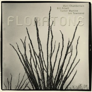 Floratone - Floratone (CD, Album, Near Mint) - Bild 1 von 1