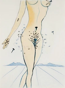 Ants nails and flies on nude art Salvador Dalí Bild 30x42 Collection A2D2 - Picture 1 of 2