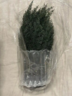 NIB Kissilk Artificial Cedar Topiary Artificial Tree Cedar Shrub 16” Indoor/out - Image 1 of 4