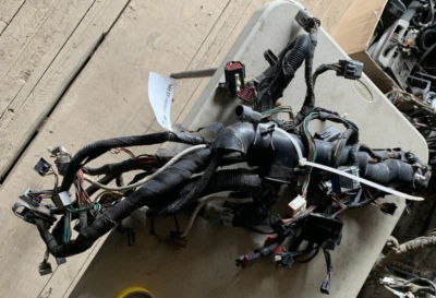 04 OEM 2004 F250 Super Duty 6,0 L Power Stroke tablero arnés de cableado 4C3T-14401-cama Foto 1 de 4