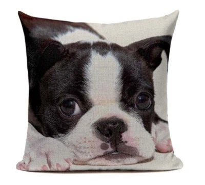 Funda de almohada Boston Terrier cachorro perro B14 dibujos animados mascota bulldog francés Foto 1 de 4