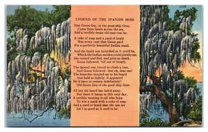 Postal de poesía poema musgo español leyenda del musgo - Imagen 1 de 2