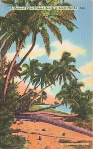 Coconut Palm Fringed Beach in South Florida Vintage PC Posted 1952 - Picture 1 of 2