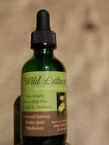 Wild Lettuce Tincture ~ Anxiety, Insomnia, Pain, Hard-Dead Emotions  2 oz.