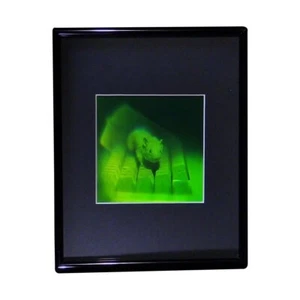 3D Mouse Multi-Channel Hologram Picture FRAMED, Polaroid Photopolymer Film - Picture 1 of 7