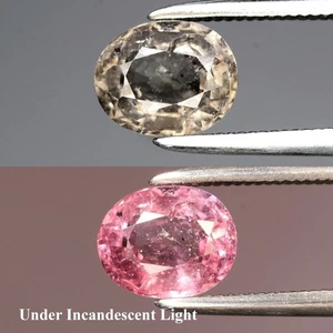 💎 1.17ct 6.5x5.5mm Oval Natural Color Change Garnet - Unheated, Africa Gemstone - Picture 1 of 6