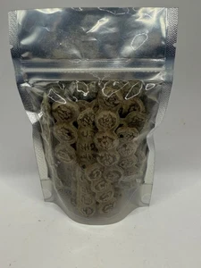 Nep Nep Samen, Nep Nep Getreide, Boons, Acacia nilotica. 50g - Bild 1 von 3
