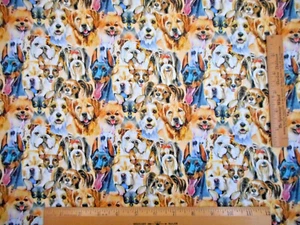 Quilt Stoff 1/2 Yard verpackt Hund Gesichter Golden Dobie Terrier Bommel + Premium Baumwolle - Bild 1 von 2
