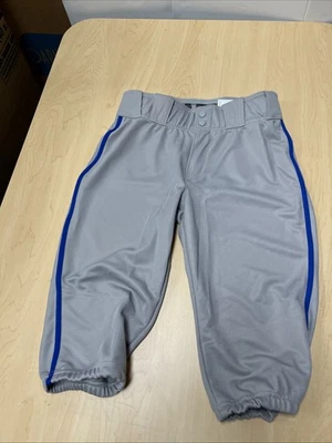 ADIDAS Youth Baseball Pants YICN PRO PIP Gray With Blue Stripe Size L - Image 1 of 4