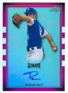 DAWSON NETZ "PG METAL ETCH AUTOGRAPH /20" LEAF PERFECT GAME ALL AMERICAN 2018