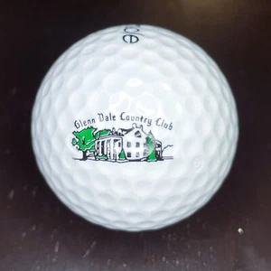 Pelota de golf con logotipo de Glenn Dale Country Club (NUEVA) - Imagen 1 de 2