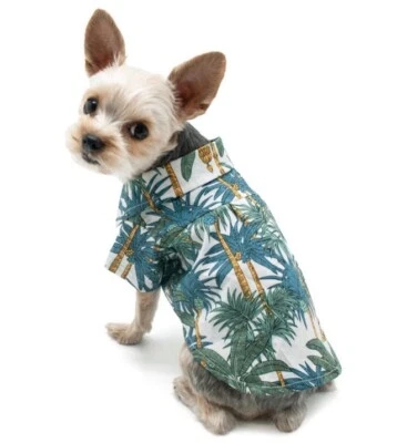 全新带标签 DOGO 绿色热带叶衬衫狗尺寸 XXL Snap 按钮 — 第 1/4 张图片