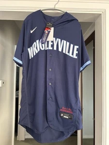 Nike Authentic Chicago Cubs City Connect Jersey 44 - Picture 1 of 3