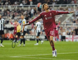 Fútbol - Hugo Ekitike - Fotografía firmada a mano de 8x10 pulgadas - Liverpool - Certificado de autenticidad - Imagen 1 de 1