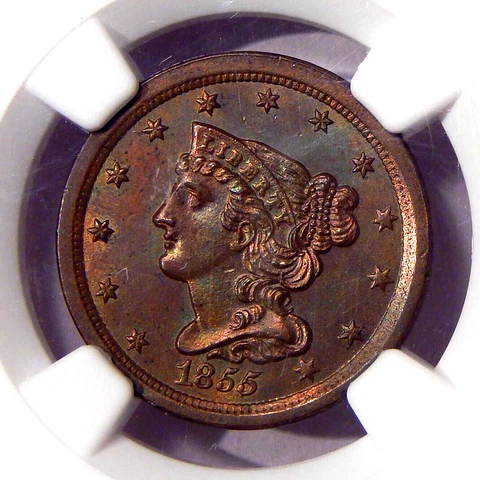 1855 1/2c NGC MS 62 BN ~ COPPER HALF CENT VERY CLEAN AND ATTRACTIVE FOR GRADE! Cover