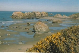 Approx 4x6 postcard, Bandon By the Sea, Oregon photo by Steven Astiletto - Picture 1 of 2