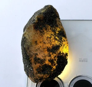 Zaffiro Giallo 305,35 Ct/58 mm Pietra Preziosa Naturale Certificata Grezza T20642 - Foto 1 di 8