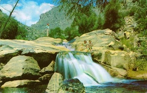 Postcard AZ Sabino Canyon Waterfalls Coronado Nat'l Forest Petley 50s-60s NrMNT - Picture 1 of 1